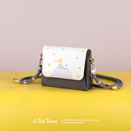 MicroBag [Le Petit Prince - Asteroid B612]