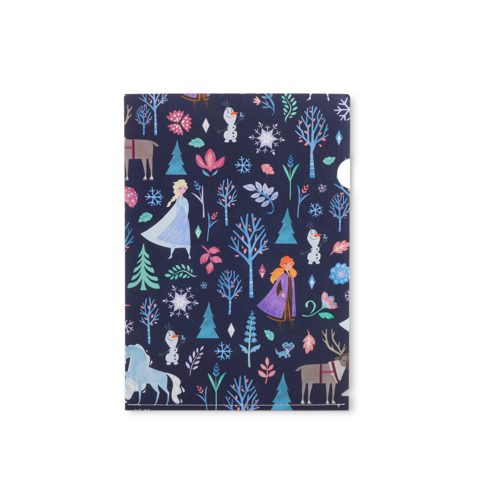ecoFolder [Frozen - Pattern]