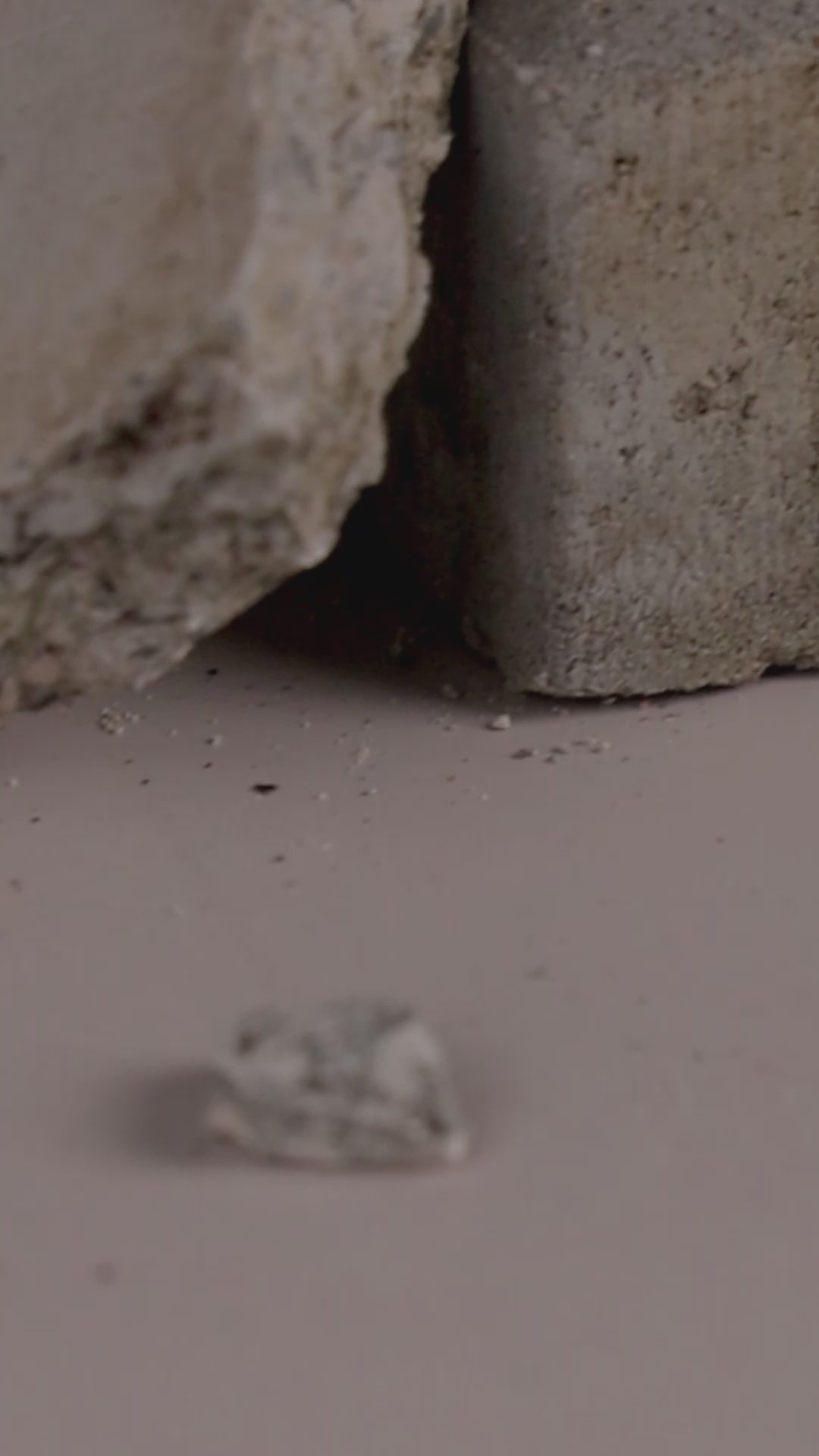 2025 Calendar  Bricks to the Past