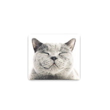 將圖片載入圖庫檢視器 MASKfolio S [Grey Cat] - Papery.Art
