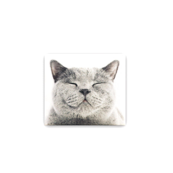MASKfolio S [Grey Cat] - Papery.Art