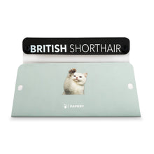 將圖片載入圖庫檢視器 MASKfolio [Cat - British Shorthair] - Papery.Art

