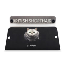 將圖片載入圖庫檢視器 MASKfolio [Cat - British Shorthair 2] - Papery.Art
