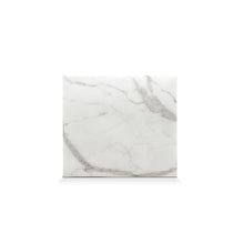 Load image into Gallery viewer, MASKfolio S [Marble - White] - Papery.Art
