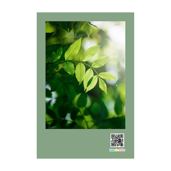 Photo Printing [MOODTONE - COURAGEOUS (Color)] - Papery.Art